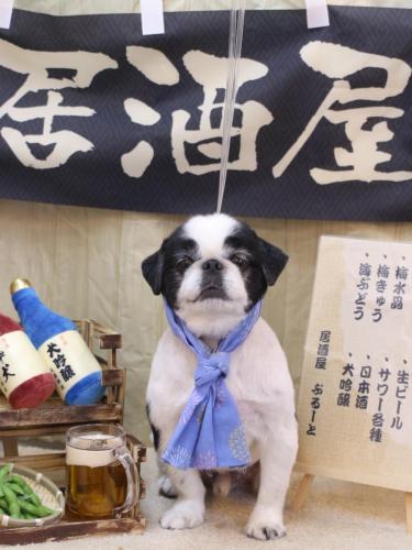 20240619大福くん